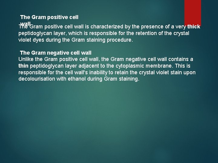 The Gram positive cell wall is characterized by the presence of a very thick