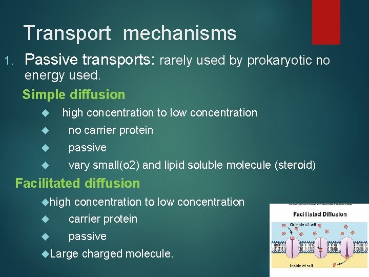 Transport mechanisms 1. Passive transports: rarely used by prokaryotic no energy used. Simple diffusion