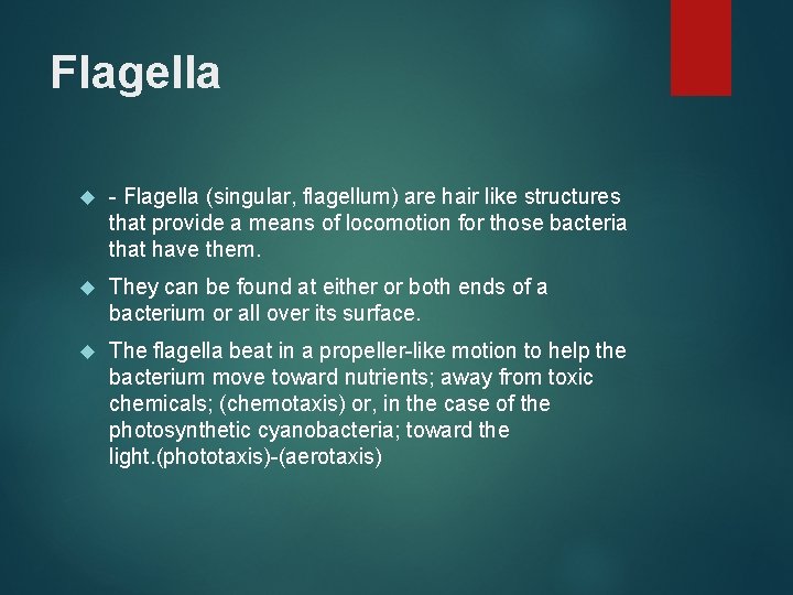 Flagella - Flagella (singular, flagellum) are hair like structures that provide a means of