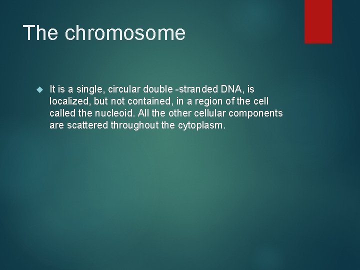 The chromosome It is a single, circular double -stranded DNA, is localized, but not