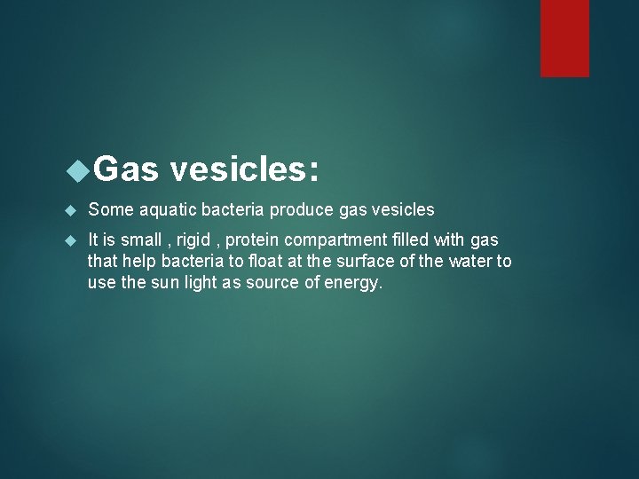  Gas vesicles: Some aquatic bacteria produce gas vesicles It is small , rigid