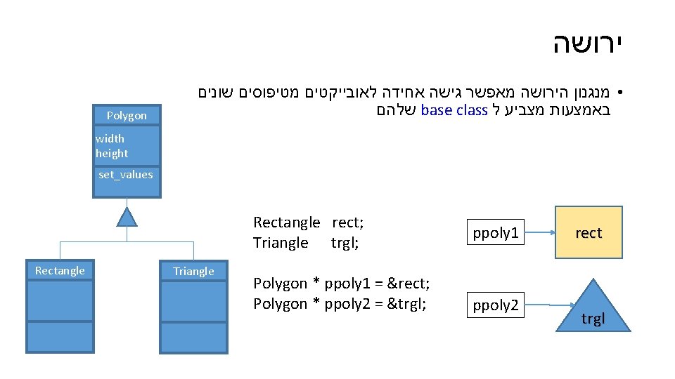  ירושה Polygon • מנגנון הירושה מאפשר גישה אחידה לאובייקטים מטיפוסים שונים שלהם base