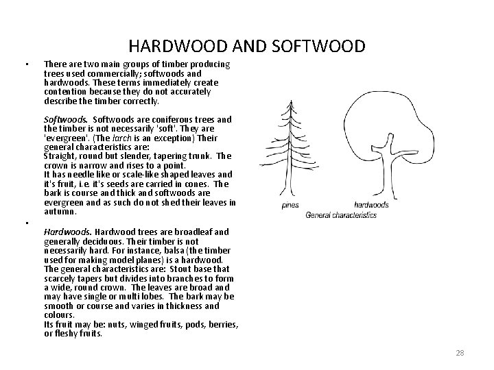 HARDWOOD AND SOFTWOOD • • There are two main groups of timber producing trees