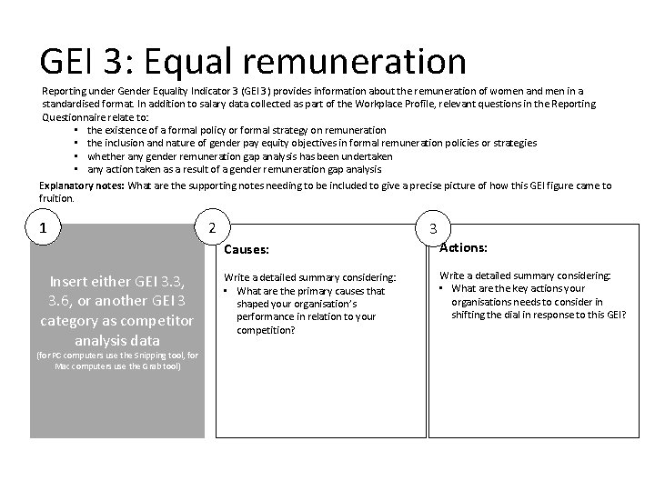 GEI 3: Equal remuneration Reporting under Gender Equality Indicator 3 (GEI 3) provides information
