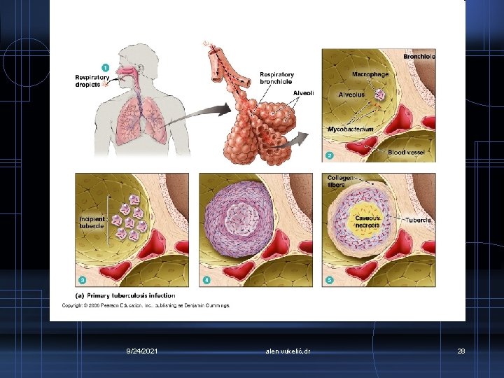 9/24/2021 alen vukelić, dr 28 