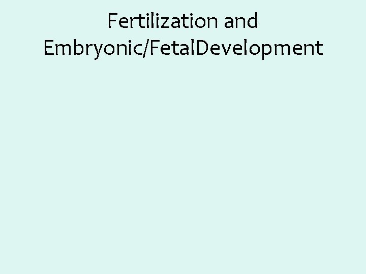 Fertilization and Embryonic/Fetal. Development 