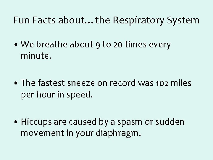 Fun Facts about…the Respiratory System • We breathe about 9 to 20 times every