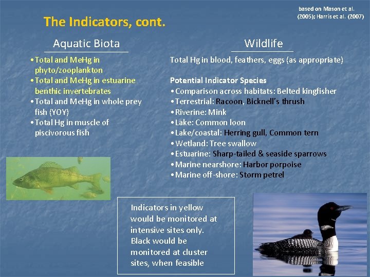 based on Mason et al. (2005); Harris et al. (2007) The Indicators, cont. Aquatic based on Mason et al. (2005); Harris et al. (2007) The Indicators, cont. Aquatic