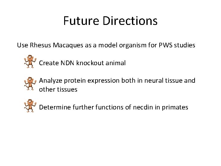 Future Directions Use Rhesus Macaques as a model organism for PWS studies Create NDN
