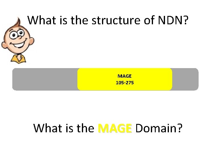 What is the structure of NDN? MAGE 105 -275 What is the MAGE Domain?