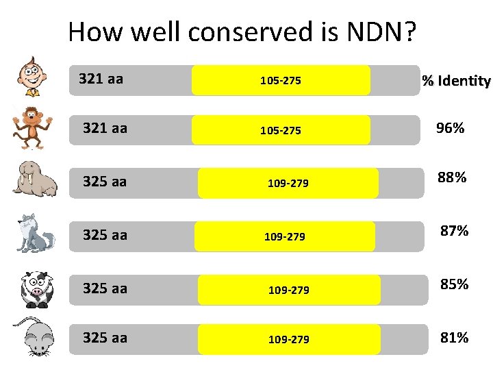 How well conserved is NDN? 321 aa 105 -275 % Identity 96% 325 aa