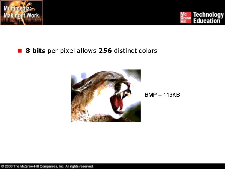 n 8 bits per pixel allows 256 distinct colors BMP – 119 KB 