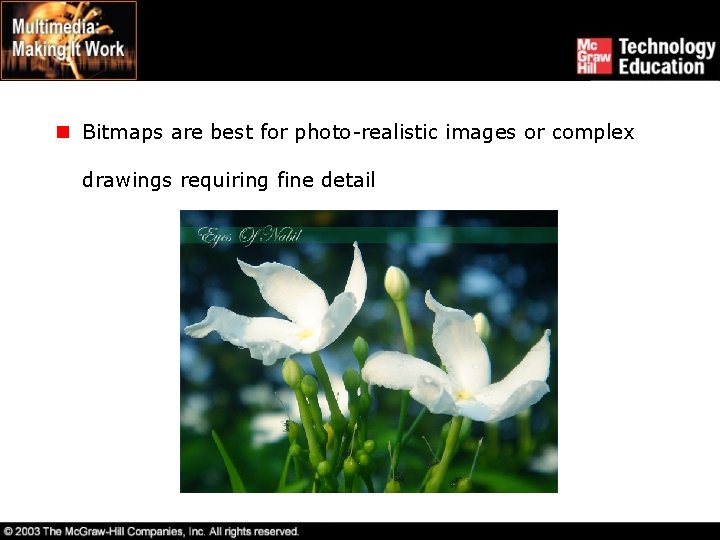n Bitmaps are best for photo-realistic images or complex drawings requiring fine detail 
