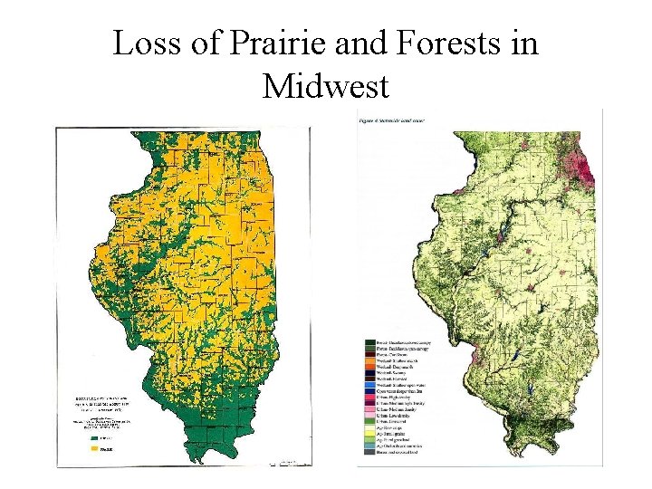 Loss of Prairie and Forests in Midwest 