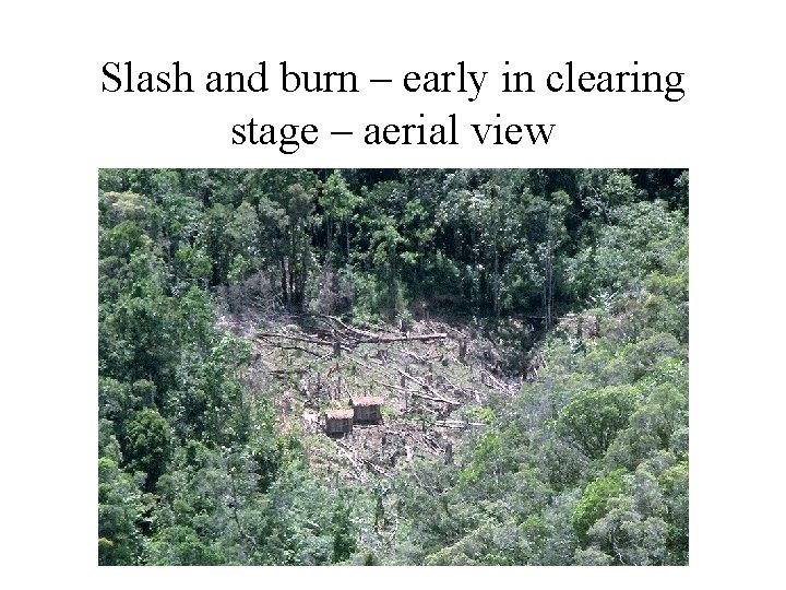 Slash and burn – early in clearing stage – aerial view 