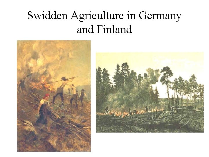 Swidden Agriculture in Germany and Finland 