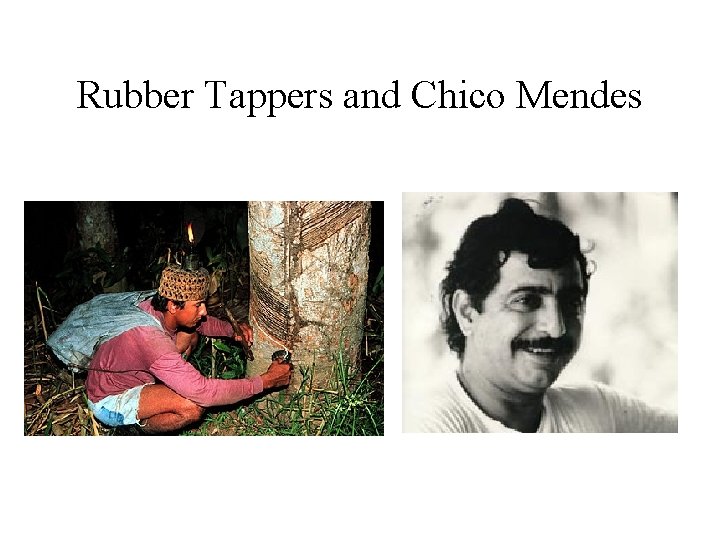 Rubber Tappers and Chico Mendes 