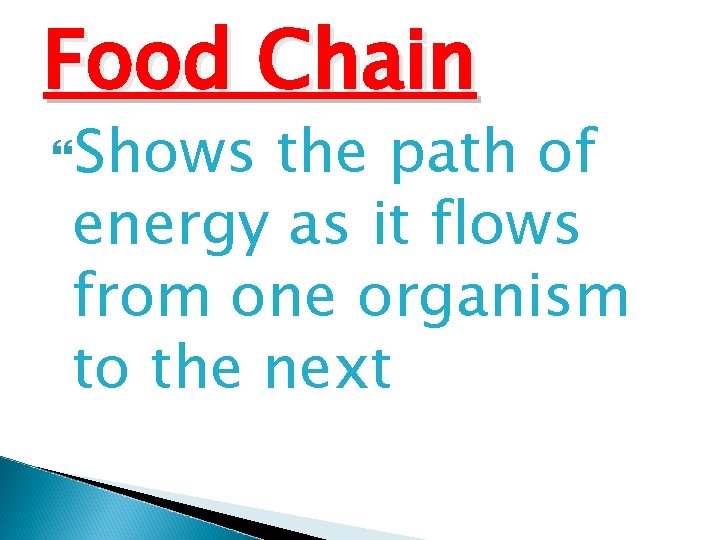Food Chain Shows the path of energy as it flows from one organism to