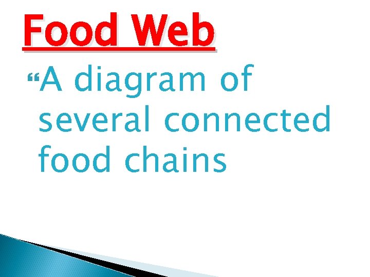 Food Web A diagram of several connected food chains 