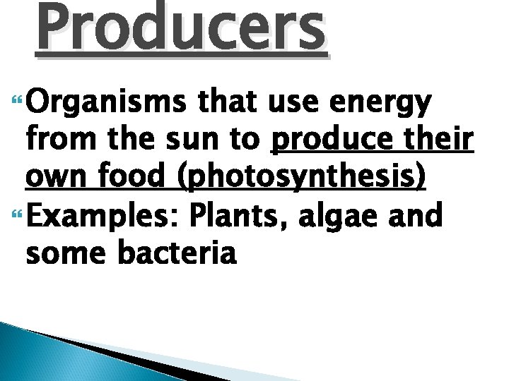 Producers Organisms that use energy from the sun to produce their own food (photosynthesis)