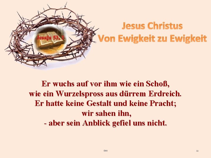 Jesaja 53, 2 Jesus Christus Von Ewigkeit zu Ewigkeit Er wuchs auf vor ihm