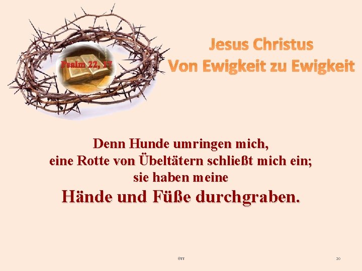 Psalm 22, 17 Jesus Christus Von Ewigkeit zu Ewigkeit Denn Hunde umringen mich, eine