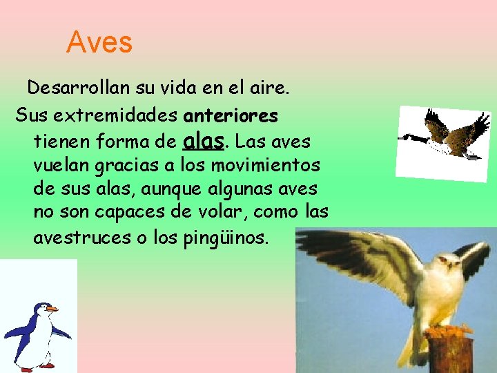 Aves Desarrollan su vida en el aire. Sus extremidades anteriores tienen forma de alas.