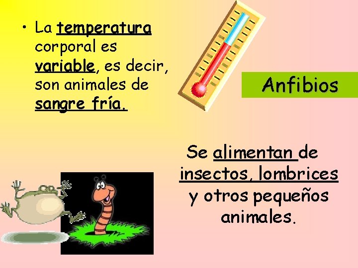  • La temperatura corporal es variable, es decir, son animales de sangre fría.