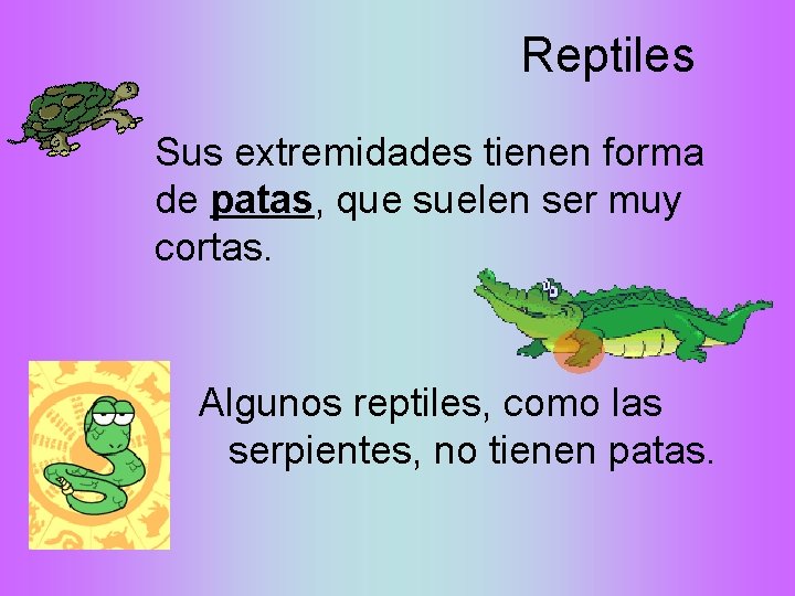 Reptiles Sus extremidades tienen forma de patas, que suelen ser muy cortas. Algunos reptiles,