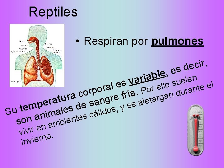 Reptiles • Respiran por pulmones , r i c s de e , e
