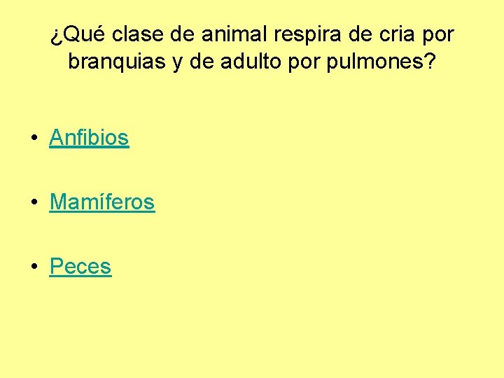 ¿Qué clase de animal respira de cria por branquias y de adulto por pulmones?