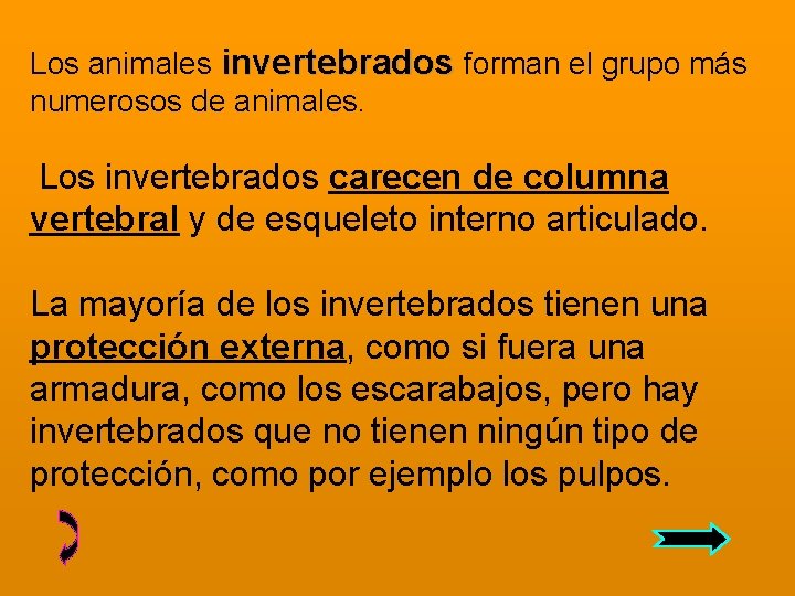 Los animales invertebrados forman el grupo más numerosos de animales. Los invertebrados carecen de