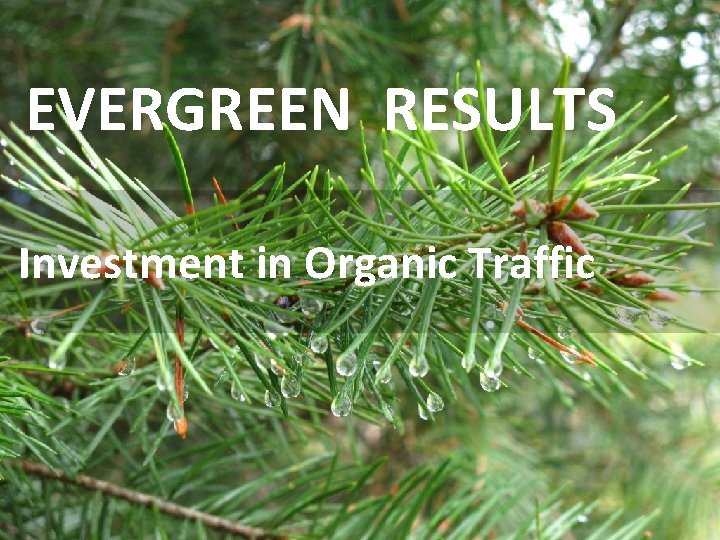 EVERGREEN RESULTS Investment in Organic Traffic 