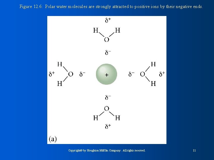 Figure 12. 6: Polar water molecules are strongly attracted to positive ions by their