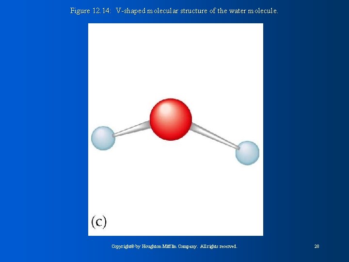 Figure 12. 14: V-shaped molecular structure of the water molecule. Copyright© by Houghton Mifflin