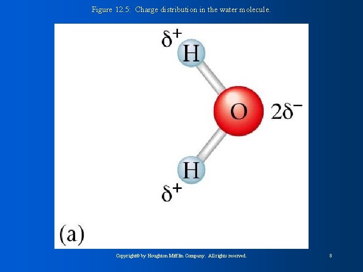Figure 12. 5: Charge distribution in the water molecule. Copyright© by Houghton Mifflin Company.