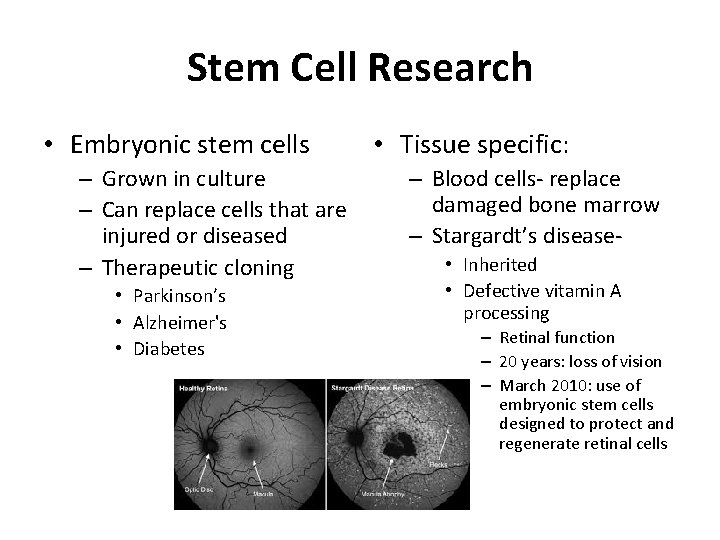 Stem Cell Research • Embryonic stem cells – Grown in culture – Can replace
