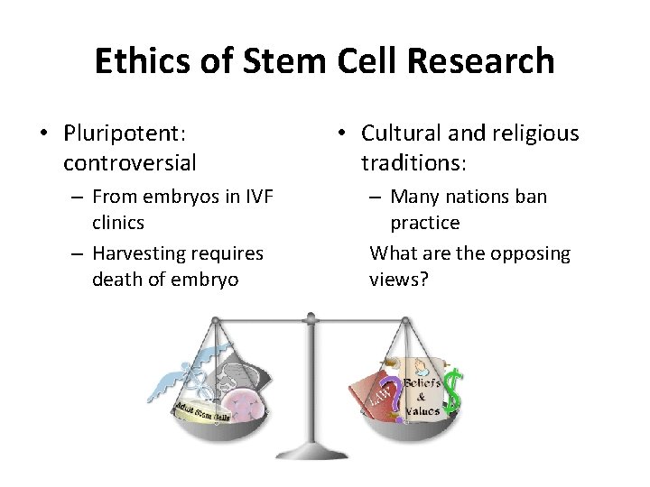 Ethics of Stem Cell Research • Pluripotent: controversial – From embryos in IVF clinics