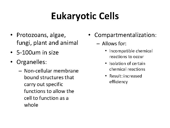 Eukaryotic Cells • Protozoans, algae, fungi, plant and animal • 5 -100 um in