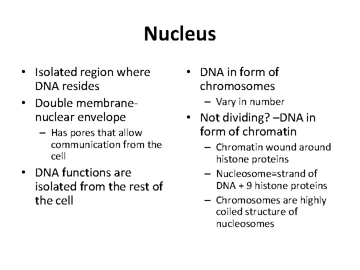 Nucleus • Isolated region where DNA resides • Double membranenuclear envelope – Has pores