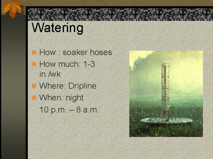 Watering n How : soaker hoses n How much: 1 -3 in. /wk n