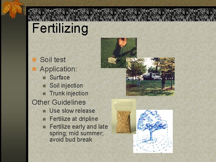 Fertilizing n Soil test n Application: n Surface n Soil injection n Trunk injection