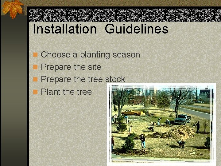 Installation Guidelines n Choose a planting season n Prepare the site n Prepare the