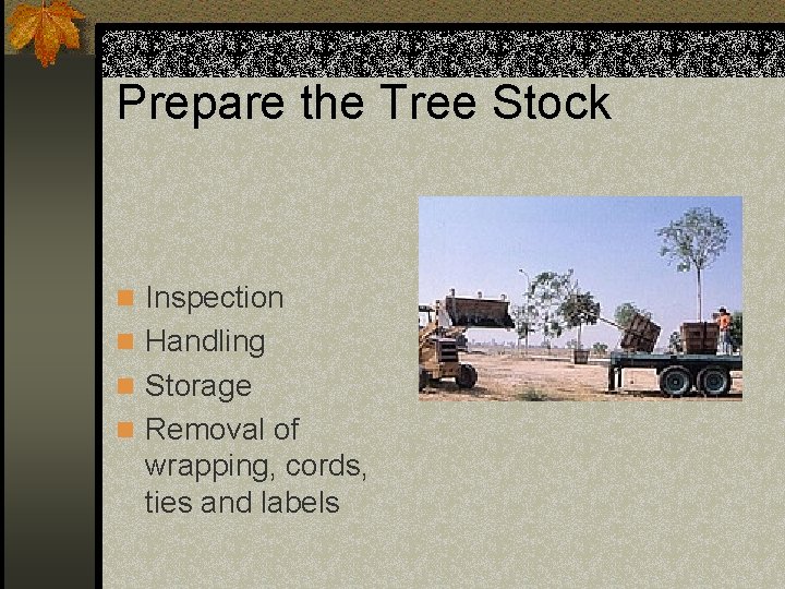 Prepare the Tree Stock n Inspection n Handling n Storage n Removal of wrapping,