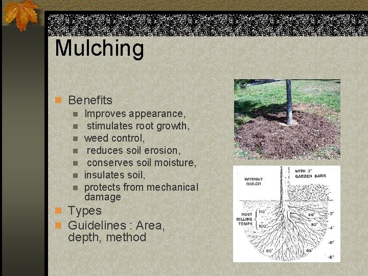 Mulching n Benefits n Improves appearance, n stimulates root growth, n weed control, n