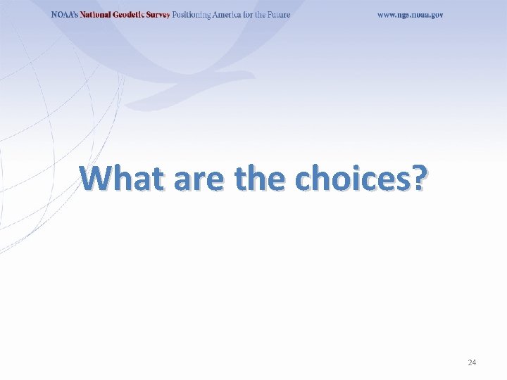 What are the choices? 24 What are the choices? 24