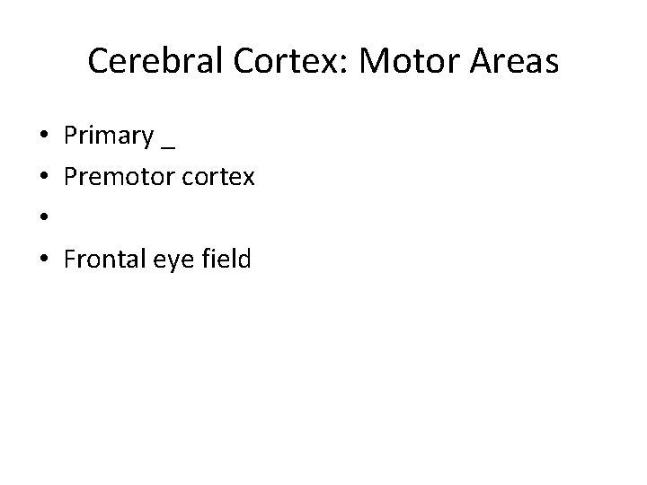 Cerebral Cortex: Motor Areas • Primary _ • Premotor cortex • • Frontal eye