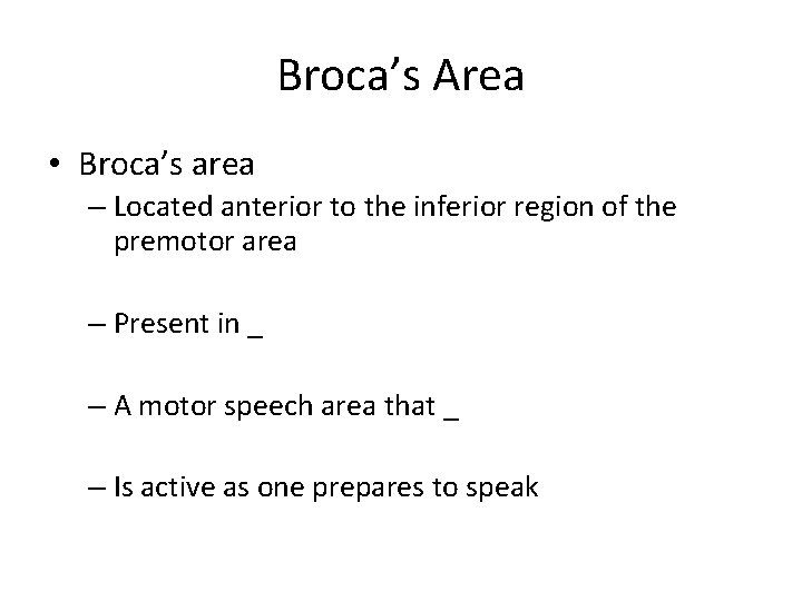 Broca’s Area • Broca’s area – Located anterior to the inferior region of the
