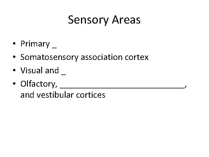 Sensory Areas • • Primary _ Somatosensory association cortex Visual and _ Olfactory, ______________,