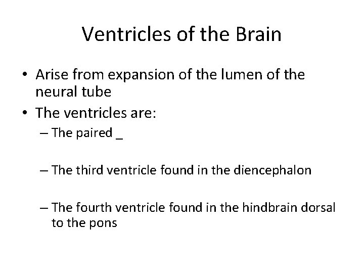 Ventricles of the Brain • Arise from expansion of the lumen of the neural